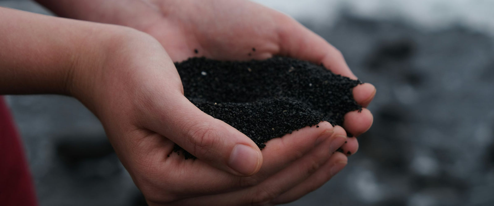 Will “compostable” plastic really degrade in your home compost heap? Buyer Beware!