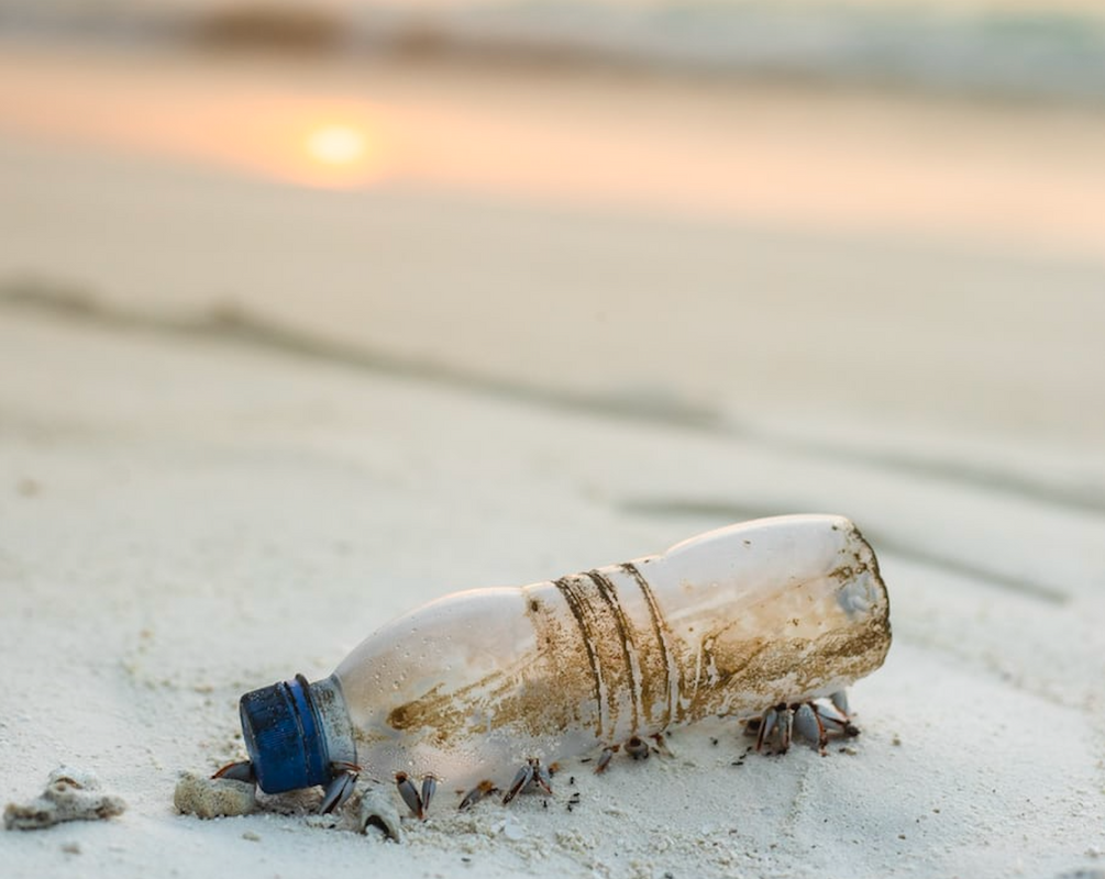 Are we so easy to fool?