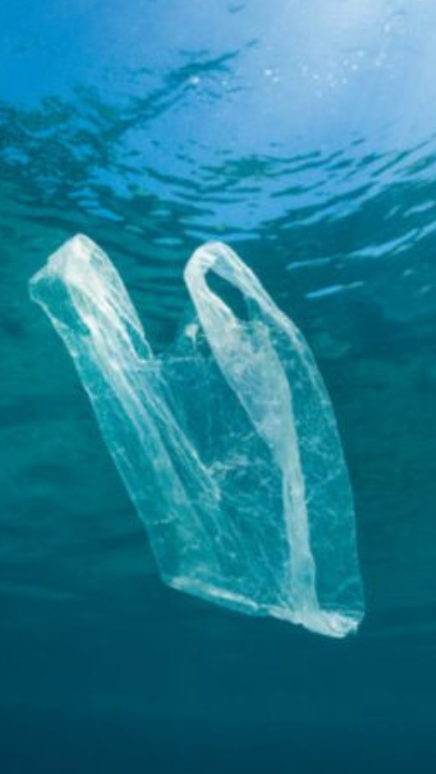 Greece’s Paros Seeks to Become First Plastic-Free Mediterranean Island