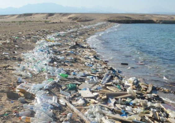 Can a selfish attitude be the answer to a cleaner ocean?